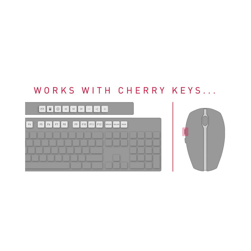 Stream keyboard of cherry